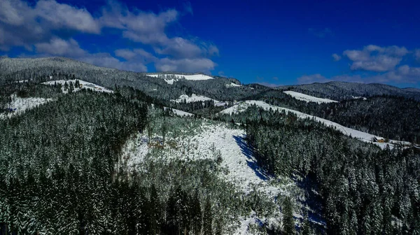 喀尔巴阡山脉山脉山脉松树林针叶林山顶冬季雪地航空摄影 — 图库照片