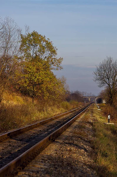 Ferrocarril de otoño — Foto de Stock
