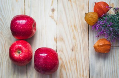 Physalis kırmızı fener