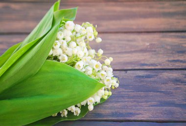 Lily vadi ahşap bir zemin üzerine yeşil yaprakları ile 