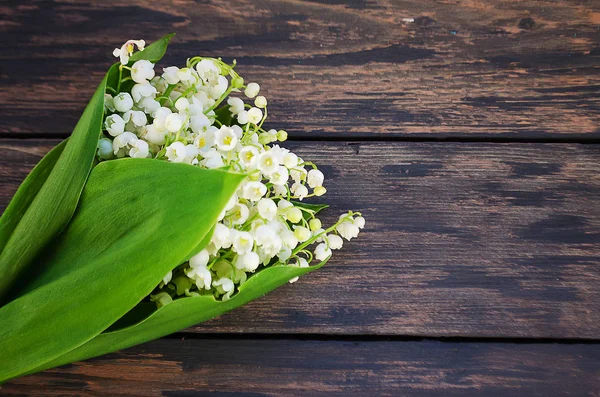 Lelietje-van-dalen met groene bladeren op een houten achtergrond — Stockfoto