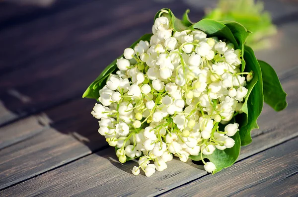 Lily of the valley with green leaves on a wooden background — Stock Photo, Image