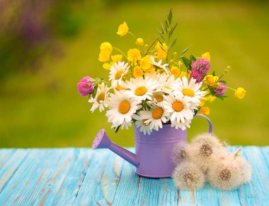 Küçük mor dekoratif sulama çiçek sulama için olabilir 