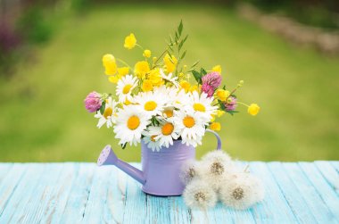 Küçük mor dekoratif sulama çiçek sulama için olabilir 