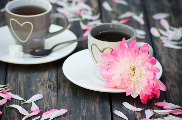 Горячий чай со сладкими лепестками хризантемы — стоковое фото