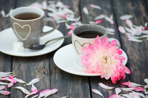 Горячий чай со сладкими лепестками хризантемы — стоковое фото