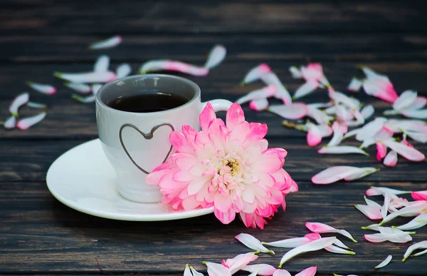 甘い菊の花弁と熱いお茶 — ストック写真
