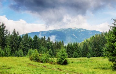Ukrayna'da Karpat Dağları üzerinde peyzaj 