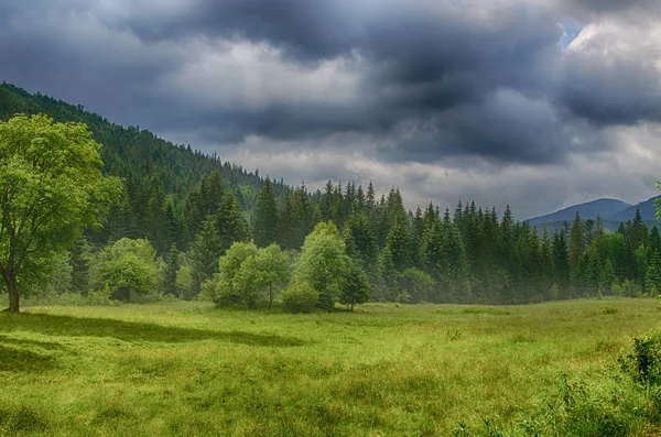 El paisaje en las montañas Cárpatos en Ucrania —  Fotos de Stock