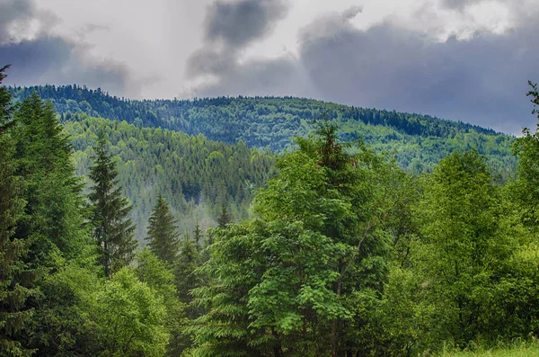 Die Landschaft auf den Karpaten in der Ukraine — Stockfoto