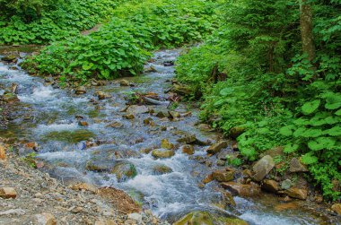 Buzlu ve fırtınalı bir wat dağlarda bir dere akar