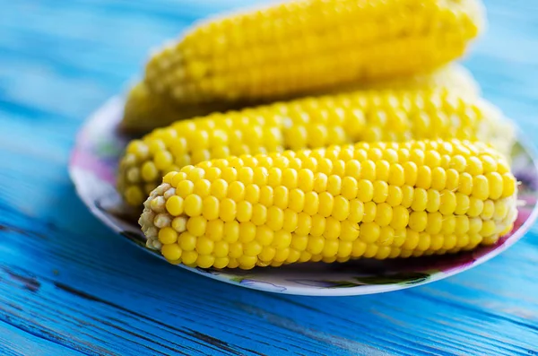 A yellow corn is boiled — Stock Photo, Image