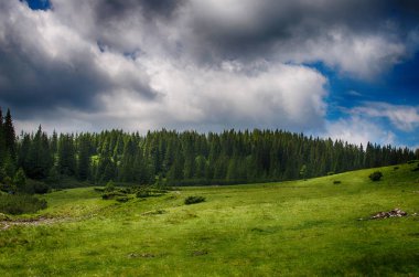 Ukrayna'da Karpat Dağları üzerinde peyzaj 