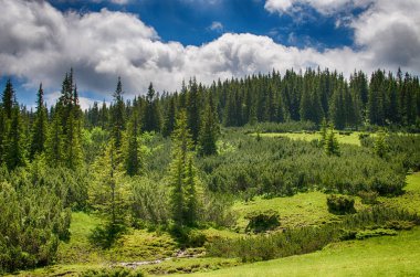 Ukrayna'da Karpat Dağları üzerinde peyzaj 