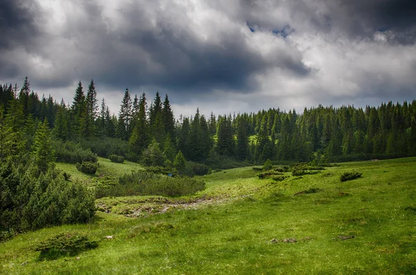 Ukrayna'da Karpat Dağları üzerinde peyzaj 