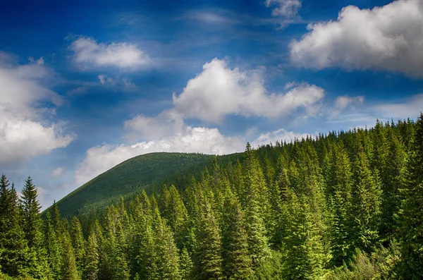 Die Landschaft auf den Karpaten in der Ukraine — Stockfoto