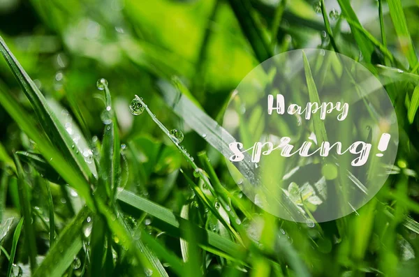 Pequeñas gotas de rocío en la hierba verde fresca en la mañana —  Fotos de Stock