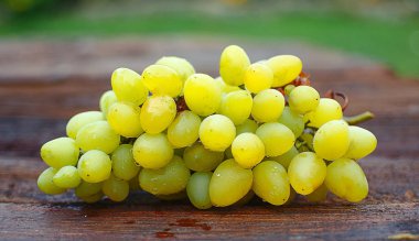 Dedikodu açık havada sonbaharda büyür.