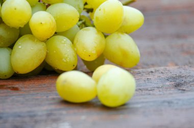 Dedikodu açık havada sonbaharda büyür.