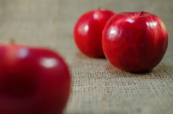 Rote Äpfel wachsen an den Zweigen mit Blättern — Stockfoto