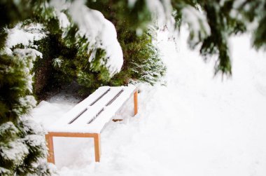 Dalı kar ile açık havada yakındır 