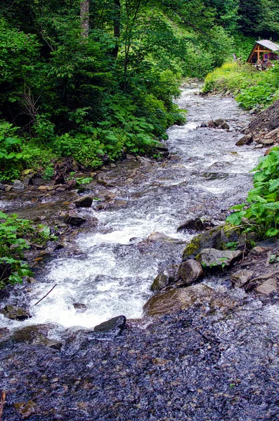 A stream in the mountains flows along the rocks and a stormy wat — Stock Photo, Image