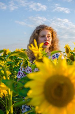 Ayçiçeği tarlasında uzun sarı saçlı mutlu bir kız.