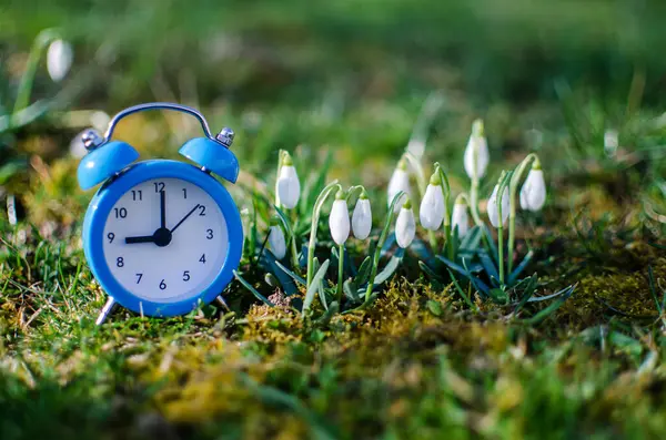 Lite Första Våren Blommor Snödroppar Blommar Utomhus Våren För Den — Stockfoto