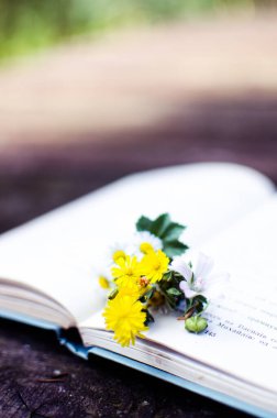 İyi bir dinlenme ve okuma için açık kitap ve çiçekler.
