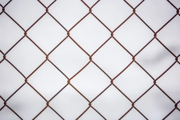 iron mesh netting on the white background