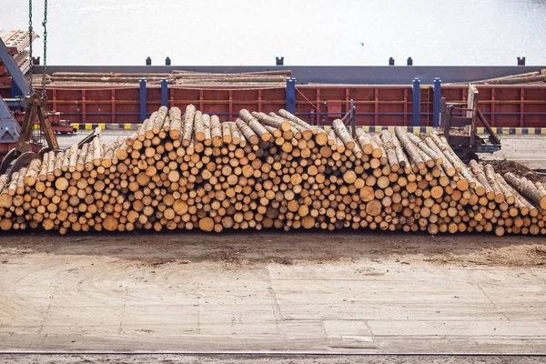 Logs in a warehouse in the seaport