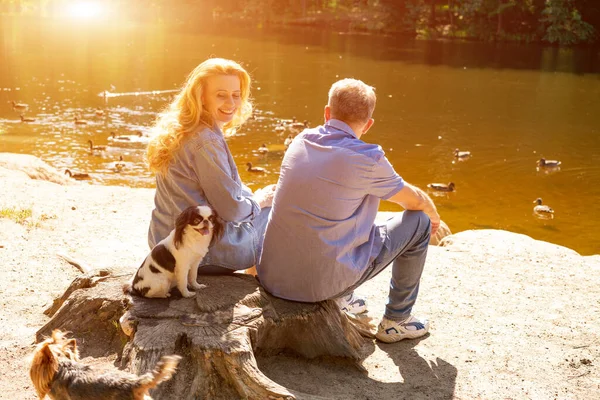 Happy Mature couple sitting on the lake in the sun with their dogs. Concept of family vacation in nature