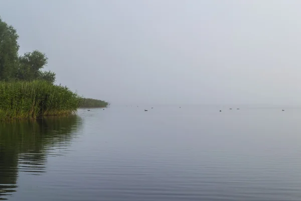 Göl kenarında puslu sabah