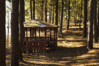 Yazlık yaşlanma ahşap