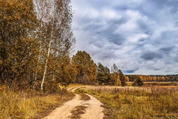 ormandaki renkli sonbahar