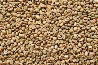 Kahve çekirdeklerini yakın. 