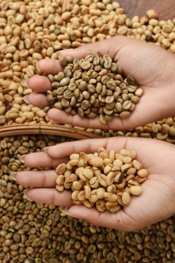 kahve çekirdekleri elde