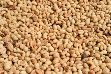 Kahve çekirdeklerini yakın. 