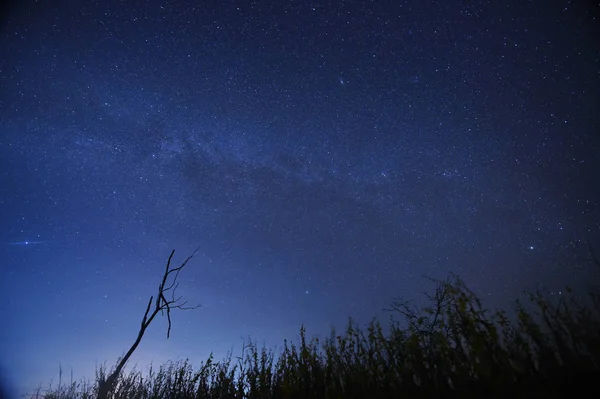 Estrellas del cielo nocturno con vía láctea en el fondo de la montaña — Foto de Stock