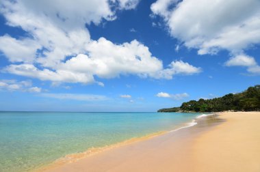 Güzel sahil ve tropikal deniz 