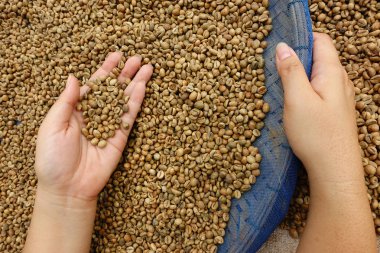 Kahve çekirdeklerini yakın. 