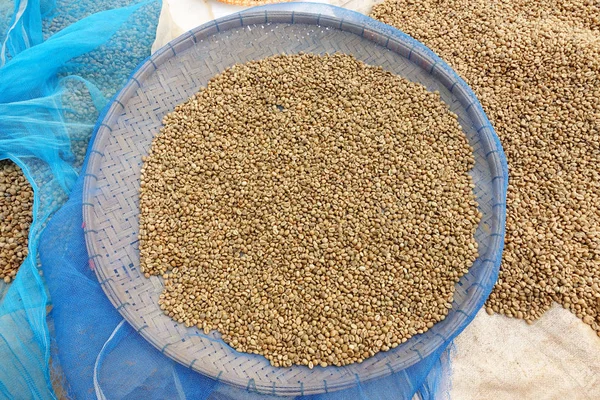 taze kahve çekirdeği 