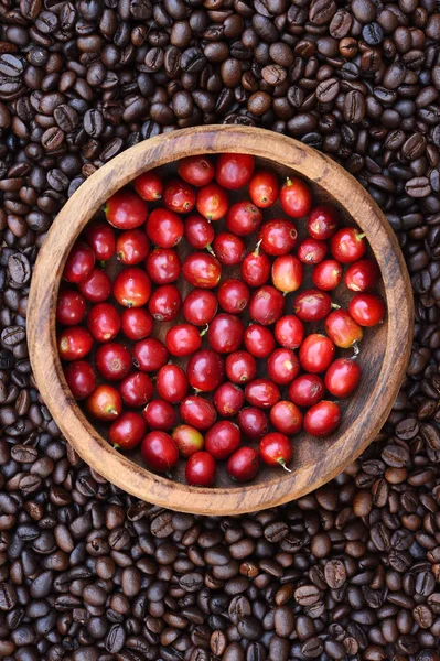 Coffee beans and fresh berries beans — Stock Photo, Image