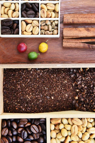 コーヒー豆と新鮮なベリー豆 — ストック写真