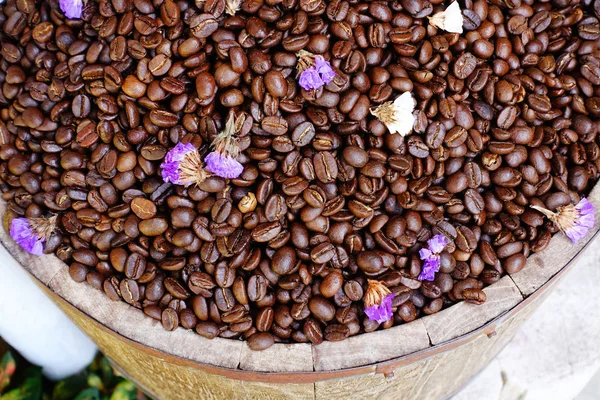 Gros plan sur les grains de café — Photo