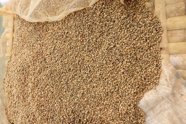 Kahve çekirdeklerini yakın.