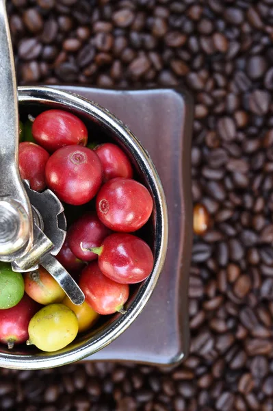 Granos de café y bayas frescas —  Fotos de Stock
