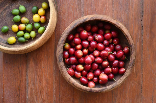 Čerstvé kávy bean — Stock fotografie