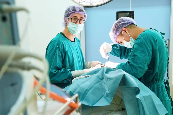 Dois cirurgiões veterinários na sala de operações — Fotografia de Stock