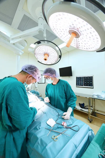 Dois cirurgiões veterinários na sala de operações — Fotografia de Stock